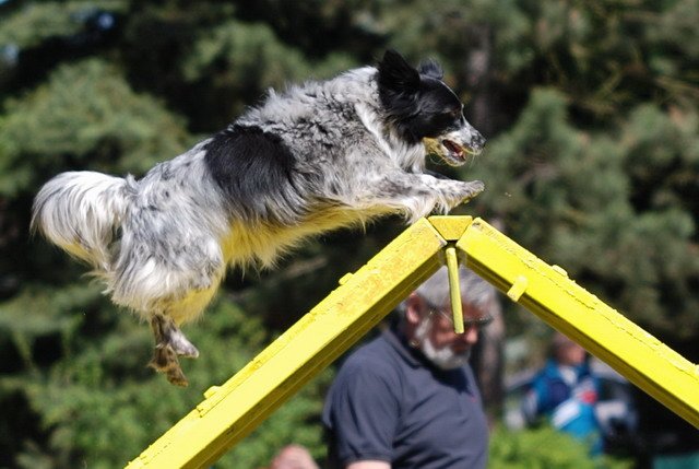 dsc_0173.jpg